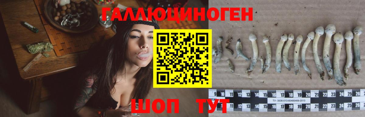 Галлюциногенные грибы Cubensis Соликамск